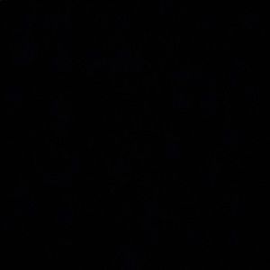 Meet your Posher, Alexa